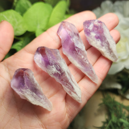 Dragons Tooth Amethyst