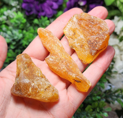 XL Natural Amber Specimen