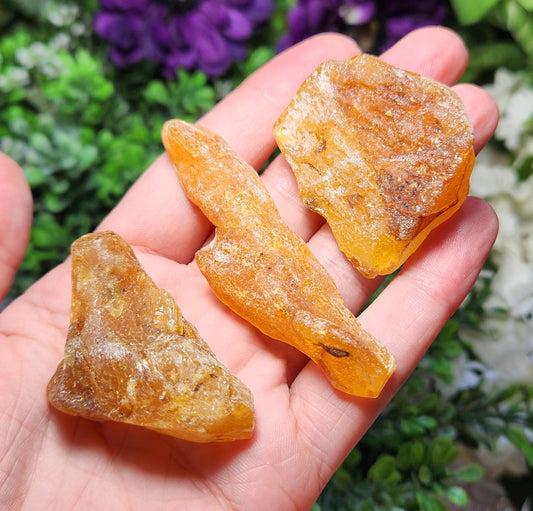 XL Natural Amber Specimen