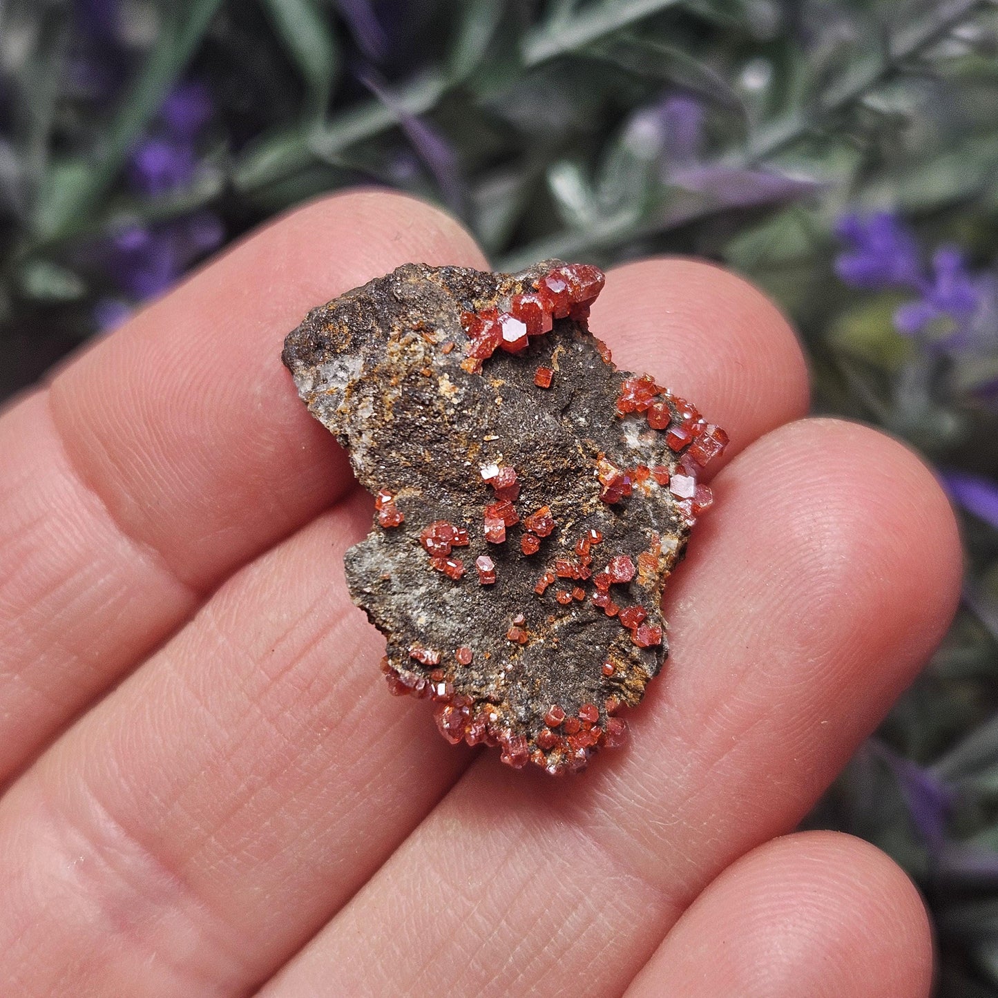 Vanadinite Cluster (Arizona, USA)