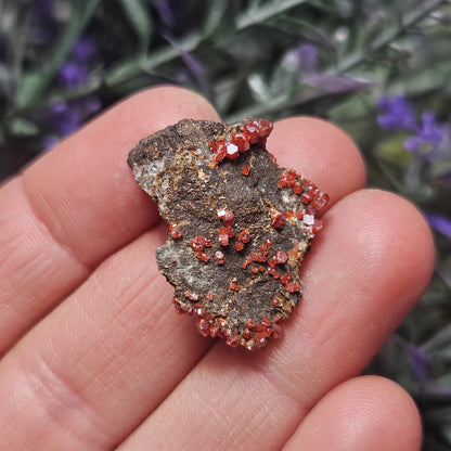 Vanadinite Cluster (Arizona, USA)