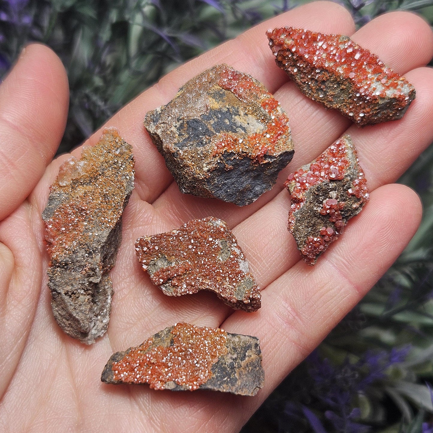 Vanadinite Cluster (Arizona, USA)