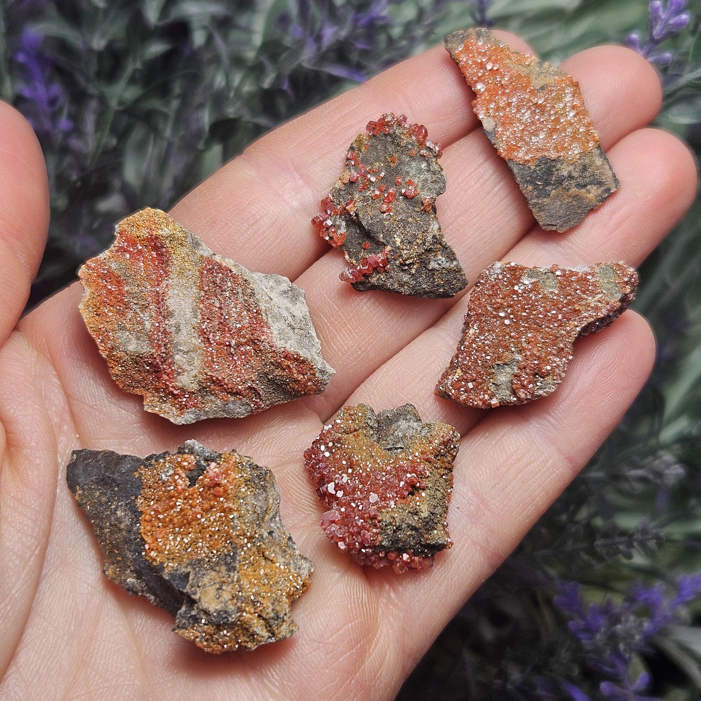 Vanadinite Cluster (Arizona, USA)
