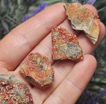 Vanadinite Cluster (Arizona, USA)