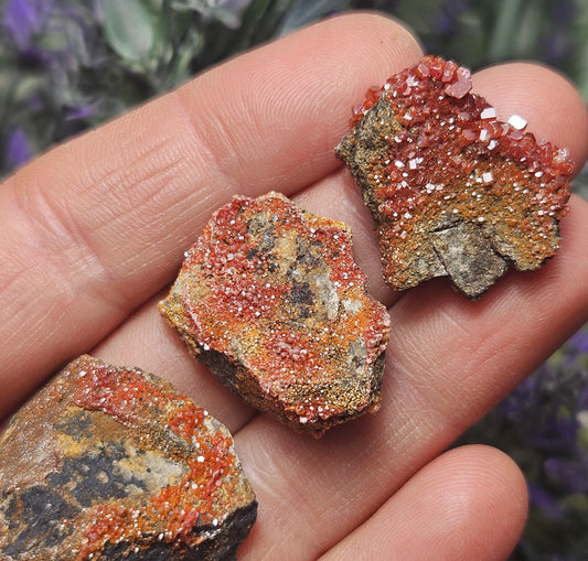 Vanadinite Cluster (Arizona, USA)