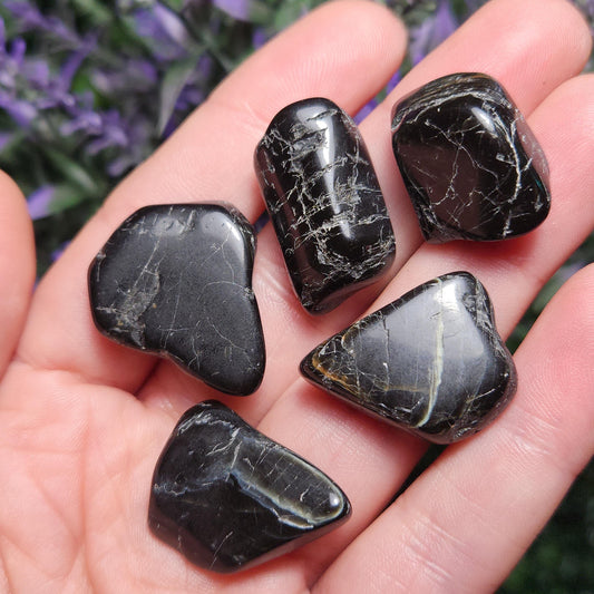 Black Tourmaline Crystal