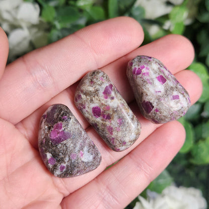 Tumbled Ruby Crystal, Ruby in Granite Specimen