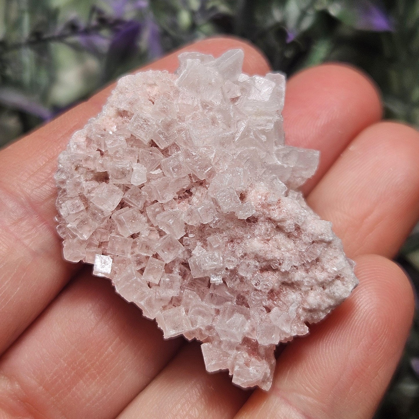 Geometric Halite Crystals