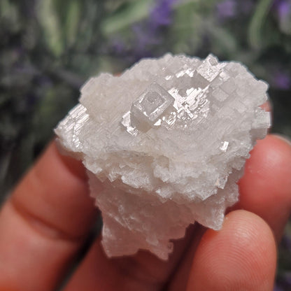 Geometric Halite Crystals