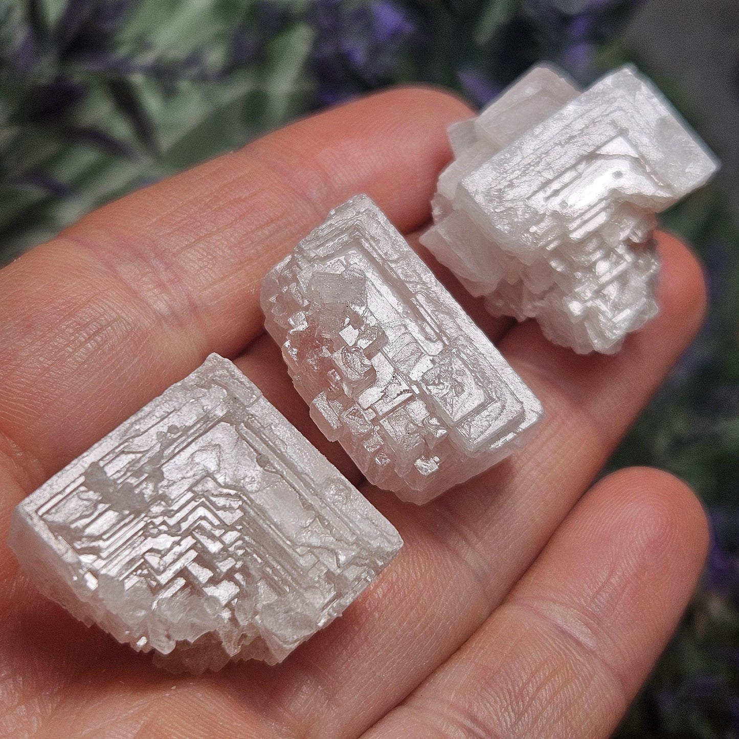 Geometric Halite Crystals
