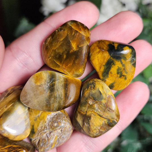 Pietersite & Tiger's Eye