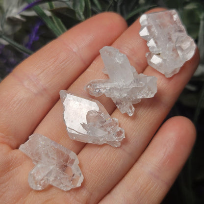 Faden Quartz Crystal
