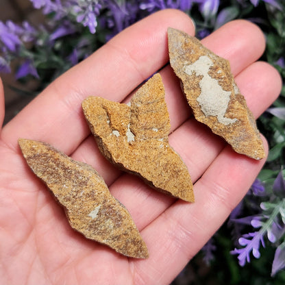 Glendonite Specimen