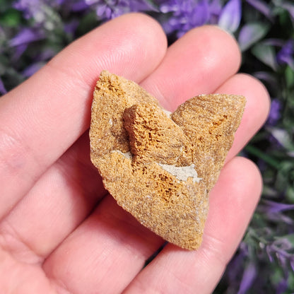 Glendonite Specimen