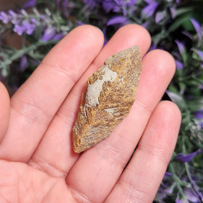 Glendonite Specimen