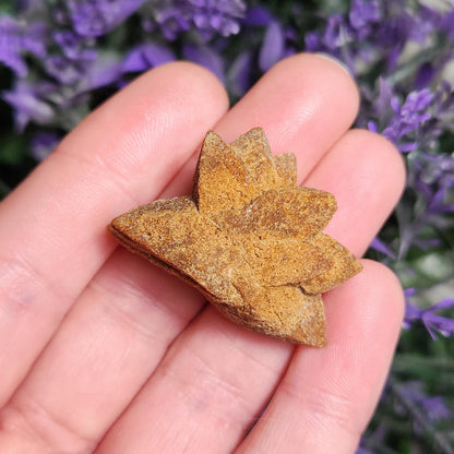 Glendonite Star