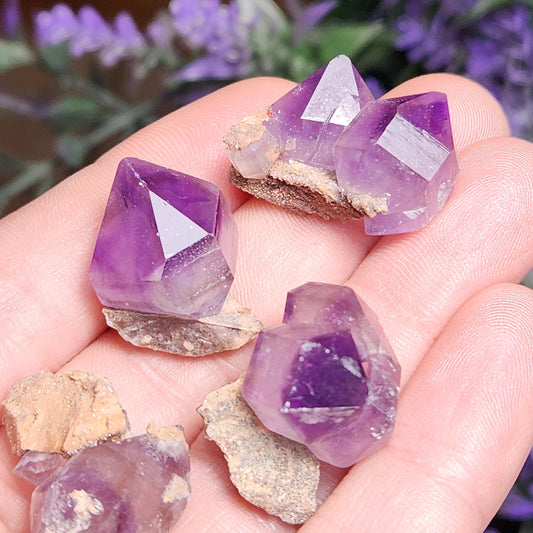 Kazakhstan Amethyst on Matrix