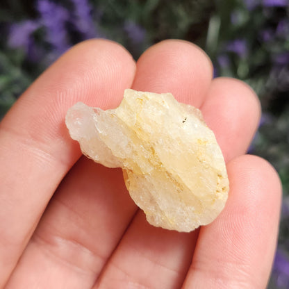 XL Golden Phenacite