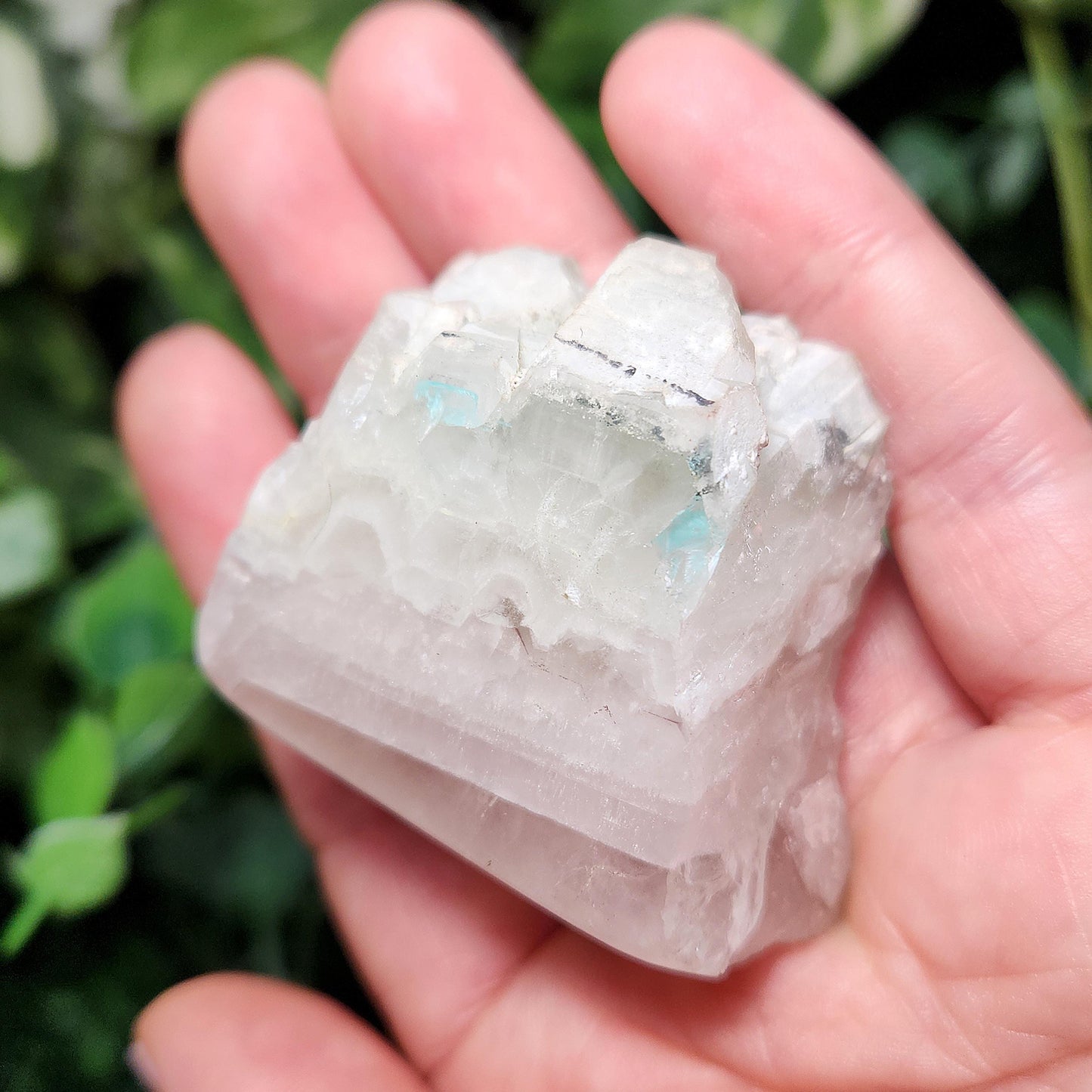Ajoite in Quartz Crystal Specimen: Polished Display Piece
