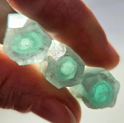 Rare Bicolor Phantom Aquamarine Crystal