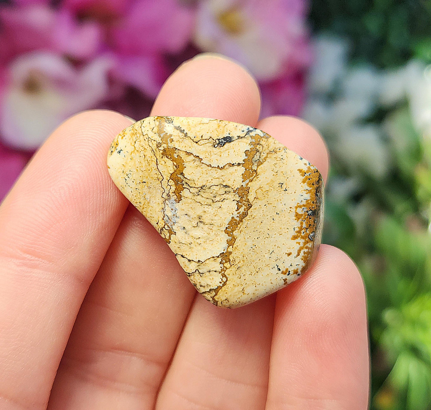 Picture Jasper Stone