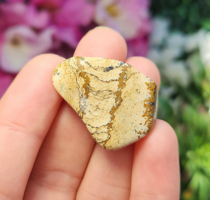 Picture Jasper Stone