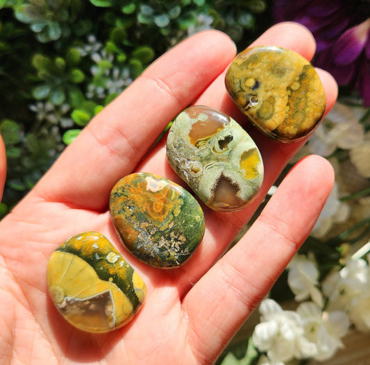 Rainforest Jasper Stone