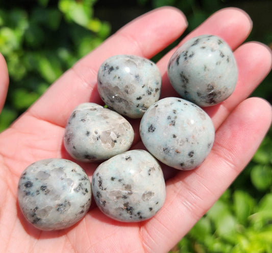 Kiwi Jasper Crystal