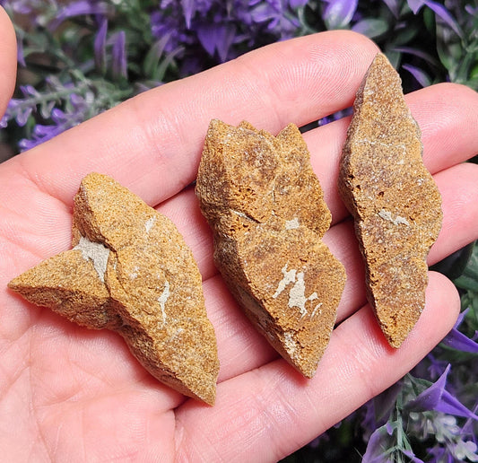 Glendonite Specimen