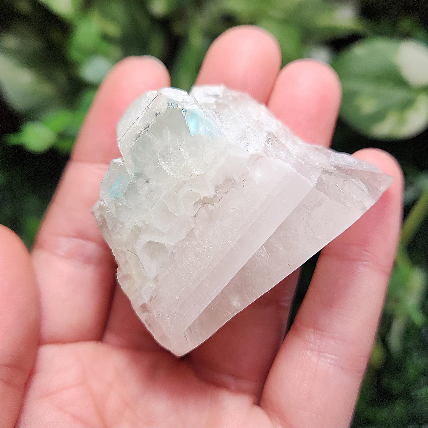 Ajoite in Quartz Crystal Specimen: Polished Display Piece