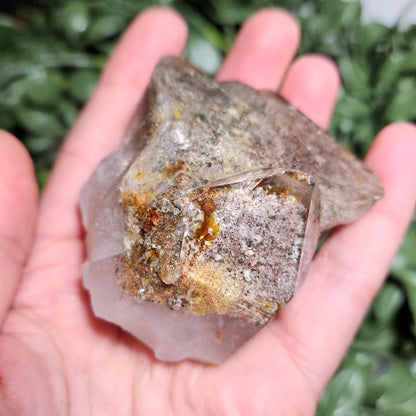 Garden Quartz Crystal 186g, Brazilian Lodolite Specimen