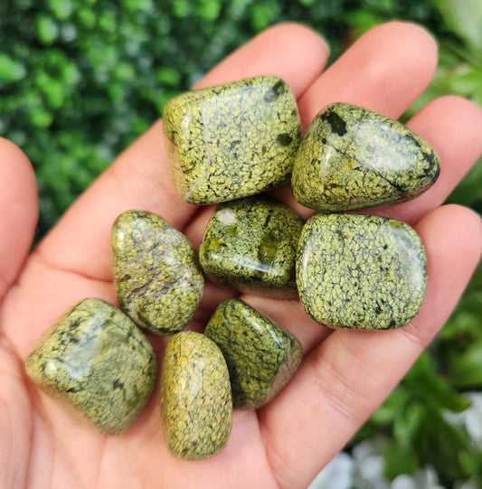 Asterite Serpentine