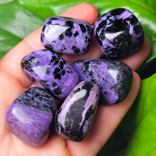 Charoite Crystal