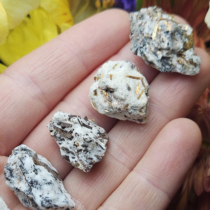 Astrophyllite Crystal