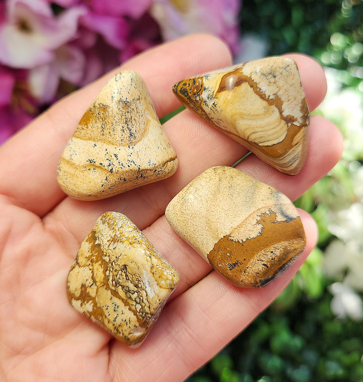 Picture Jasper Stone