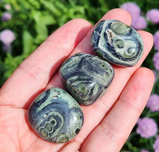 Kambaba Jasper Stone