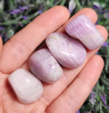 Tumbled Kunzite Crystal