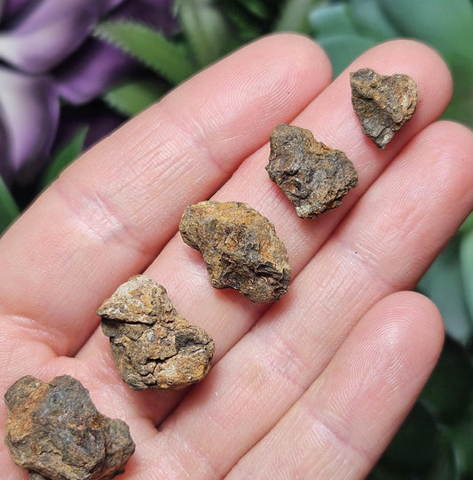Kenyan Meteorite Specimen