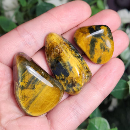Pietersite & Tiger's Eye