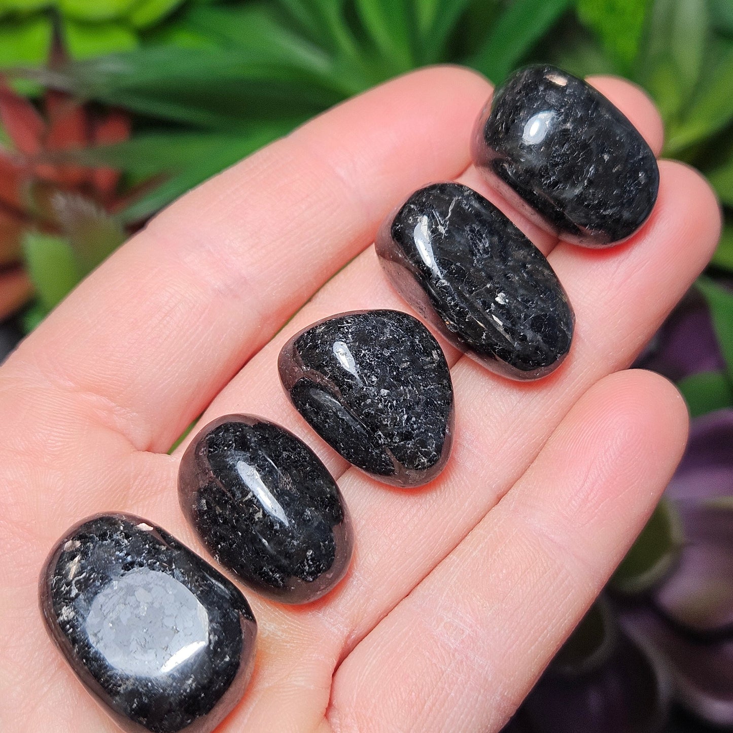 Nuummite Crystal