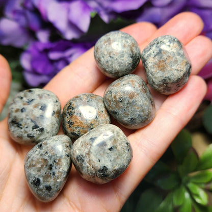 Yooper Light Tumbled Stone