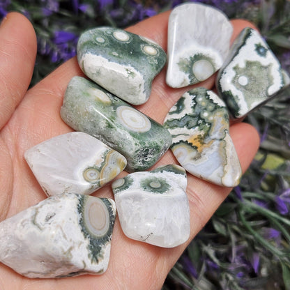 VEIN 8 Ocean Jasper