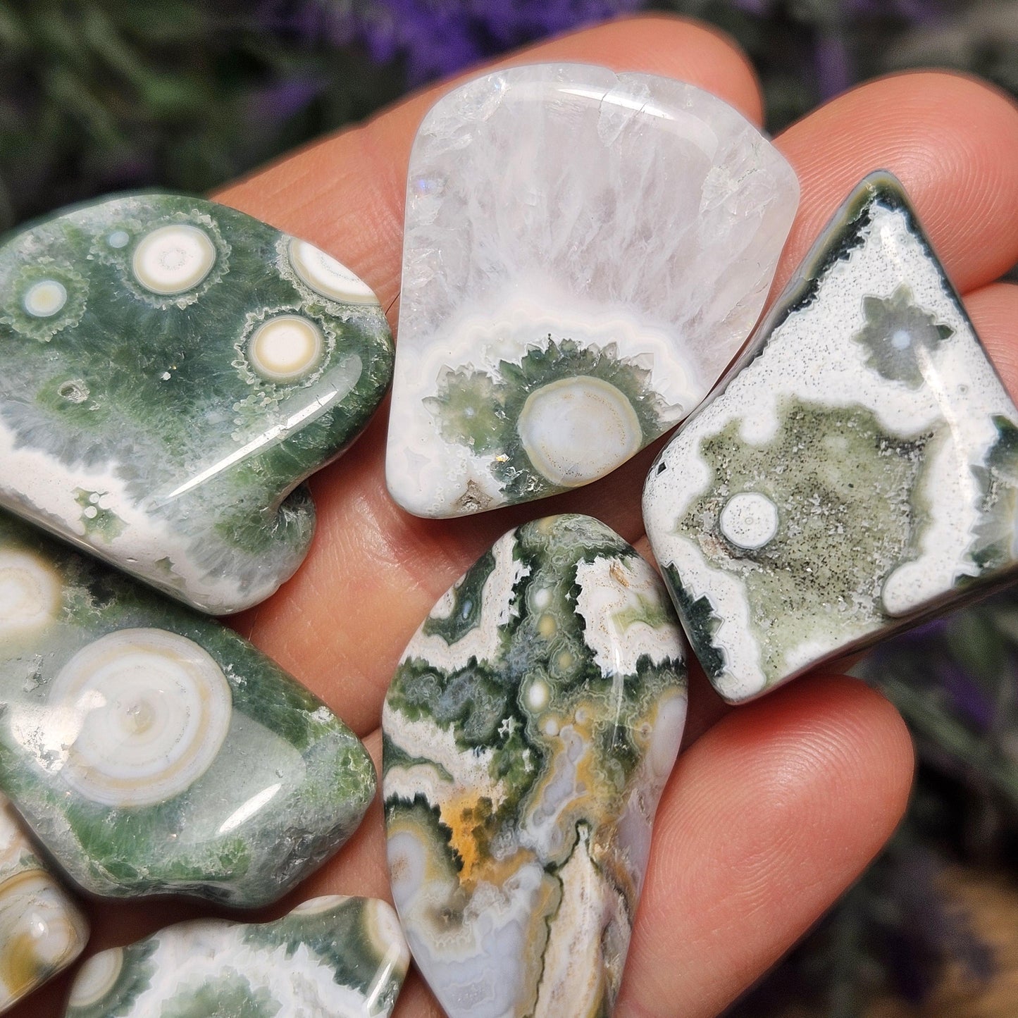 VEIN 8 Ocean Jasper