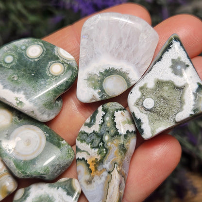 VEIN 8 Ocean Jasper