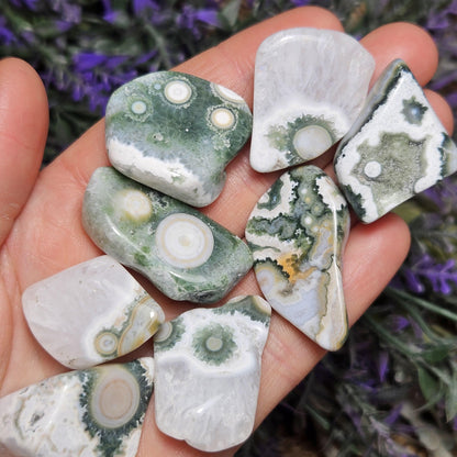 VEIN 8 Ocean Jasper