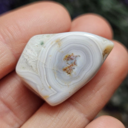 Orbicular Ocean Jasper / Ocean Jasper / Ocean Jasper Palm / Ocean Jasper Crystal / Ocean Jasper Stone / Natural Ocean Jasper / Jasper Palm
