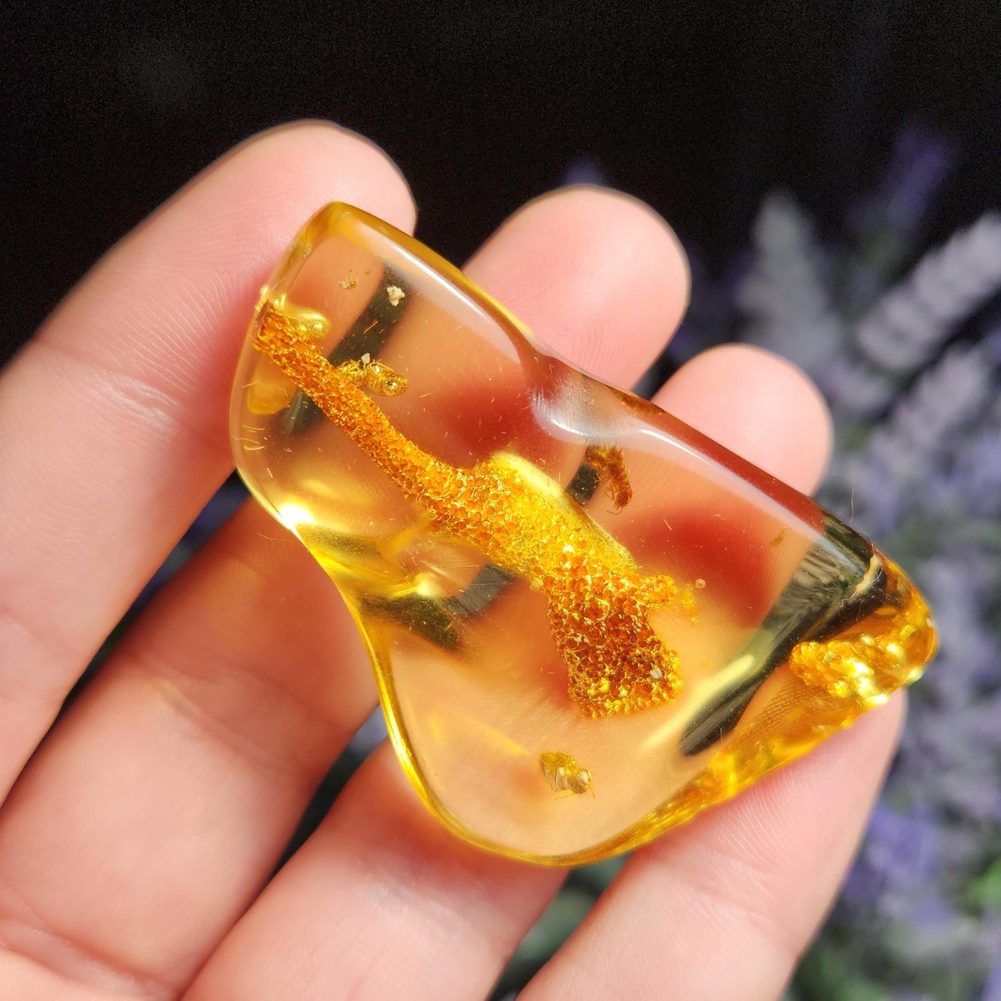Amber with Bugs