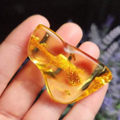 Amber with Bugs