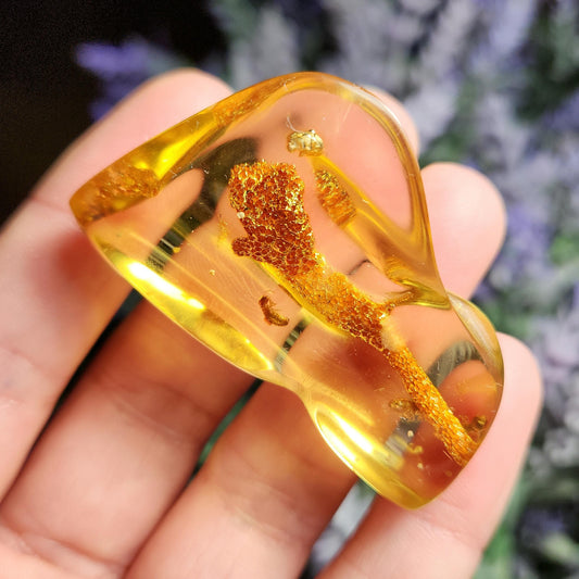 Amber with Bugs