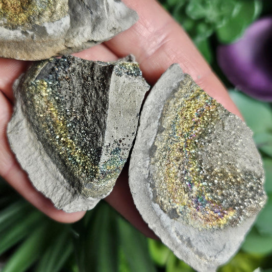 Rainbow Pyrite Specimen